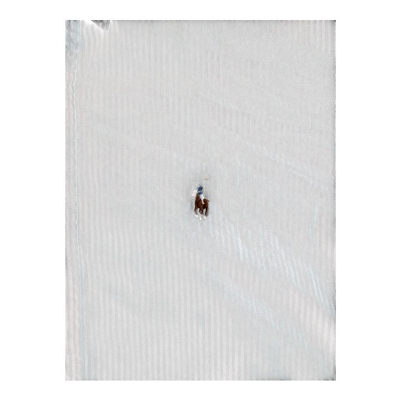 Ralph Lauren “Blake” Short Sleeve Button Down Pin Stripe Shirt - Picture 4 of 5